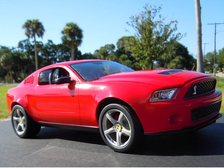 2010 SHELBY-5.jpg