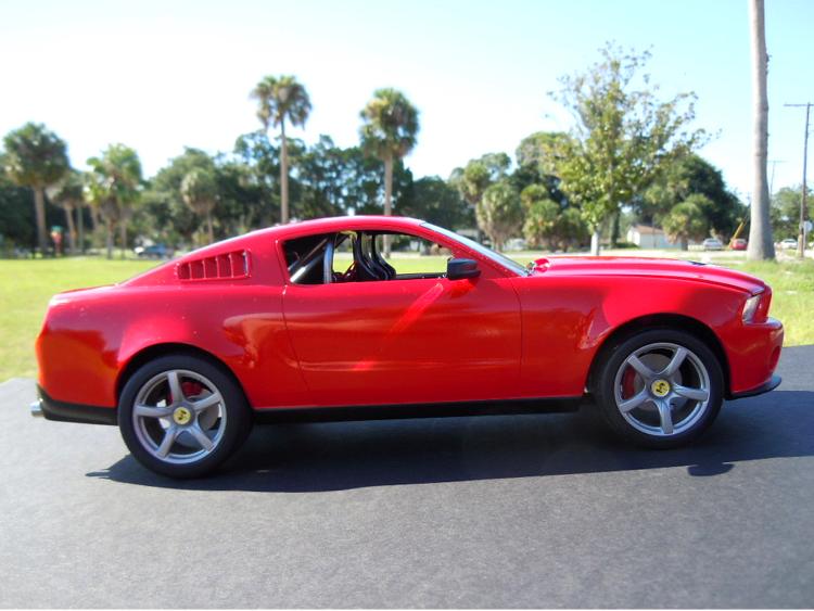 2010 SHELBY-6.jpg