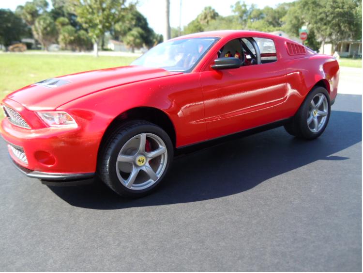 2010 SHELBY-8.jpg