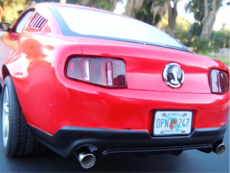 2010 SHELBY-10.jpg