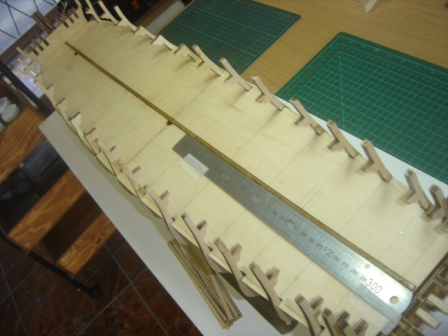 03-12 First planks edge laid on Centre line small.JPG