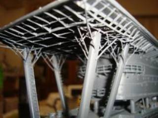 p5.jpg
