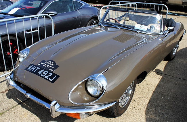 IMGL8455.JPG