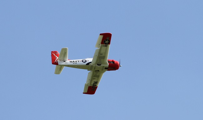 IMGL8684.JPG