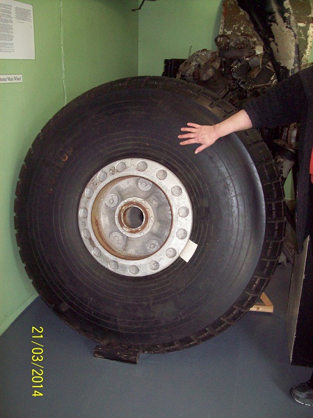 11.JPG