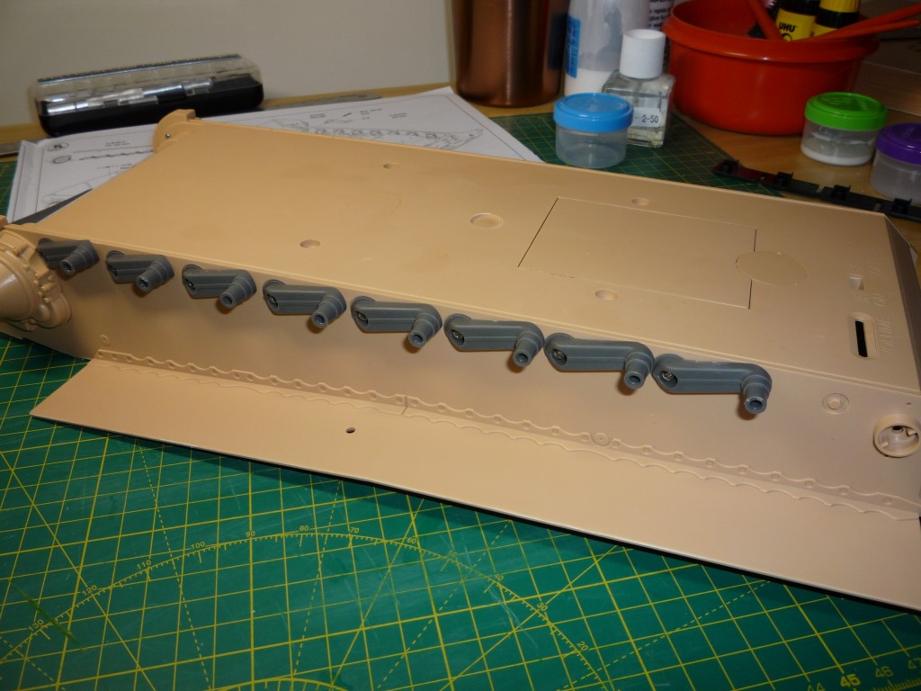 tiger stage3 002.JPG