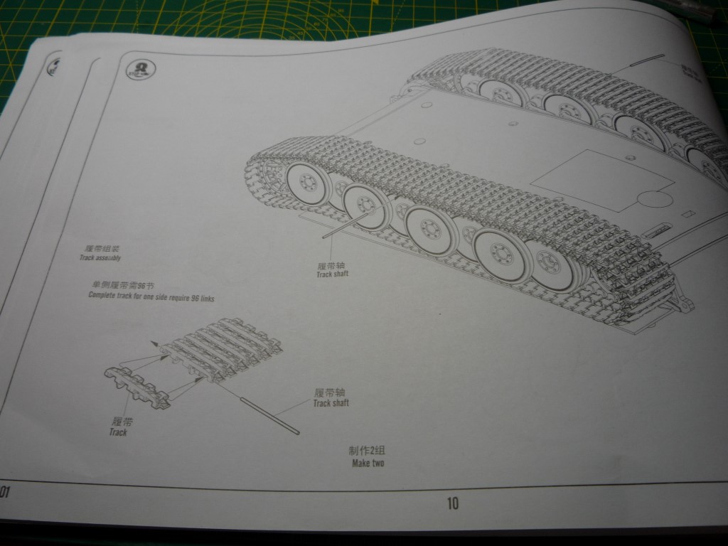 tiger stage3 010.JPG