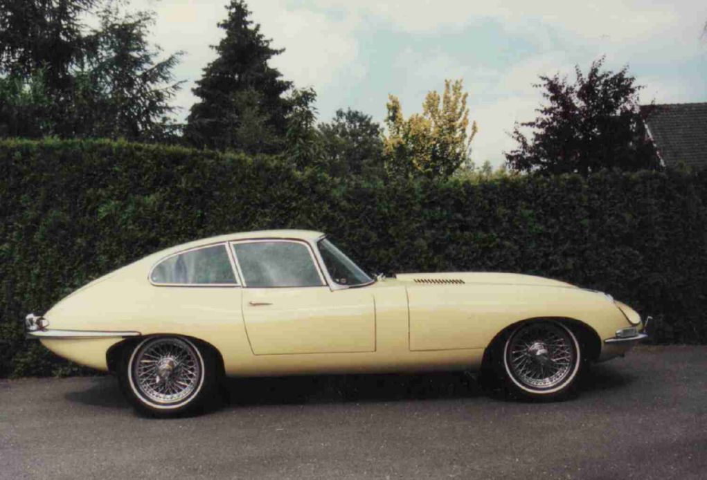 jaguar 3.jpg
