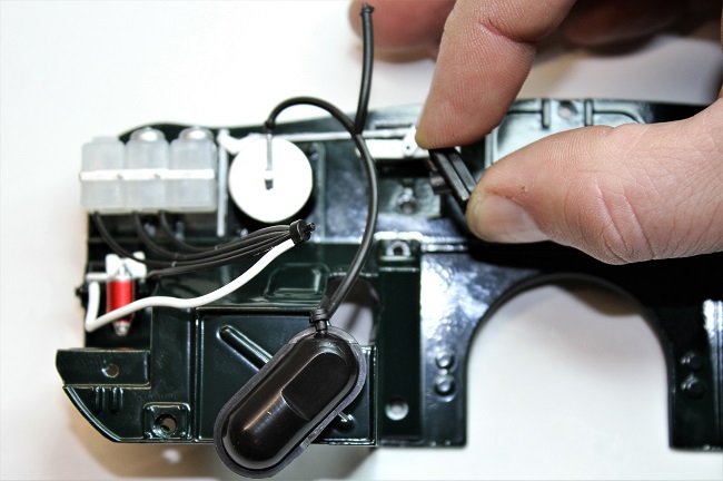 IMGL9387.JPG