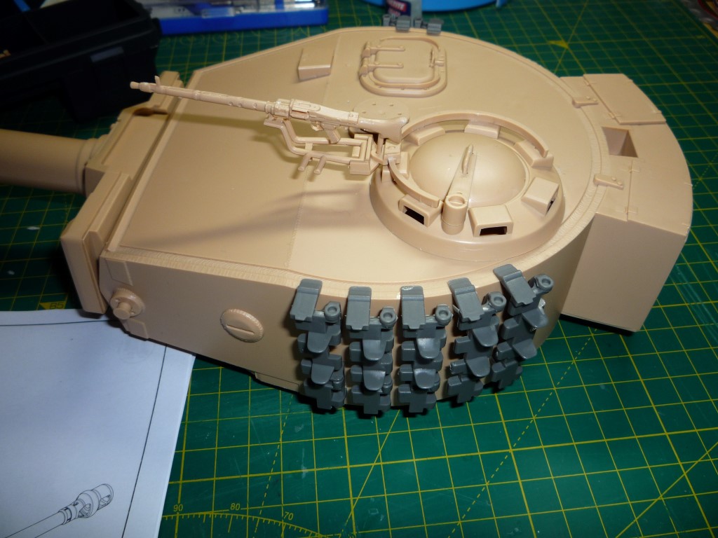 tiger last stges 001.JPG