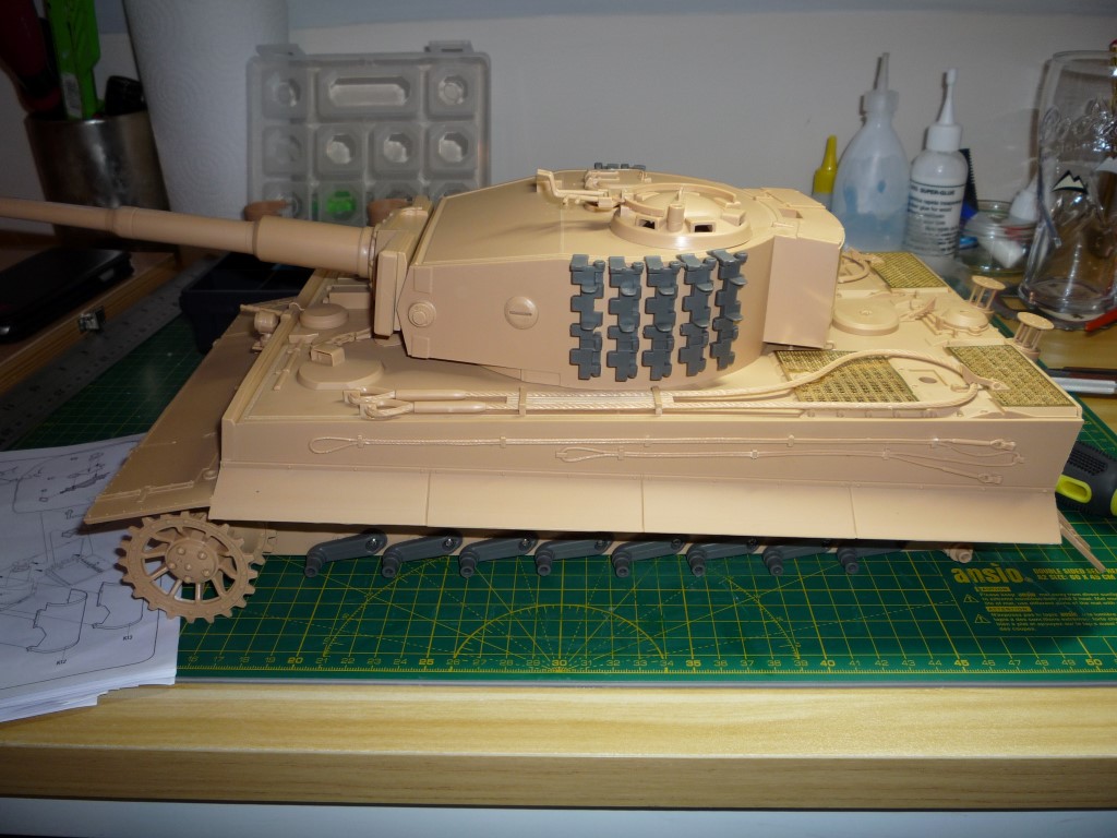 tiger last stges 002.JPG