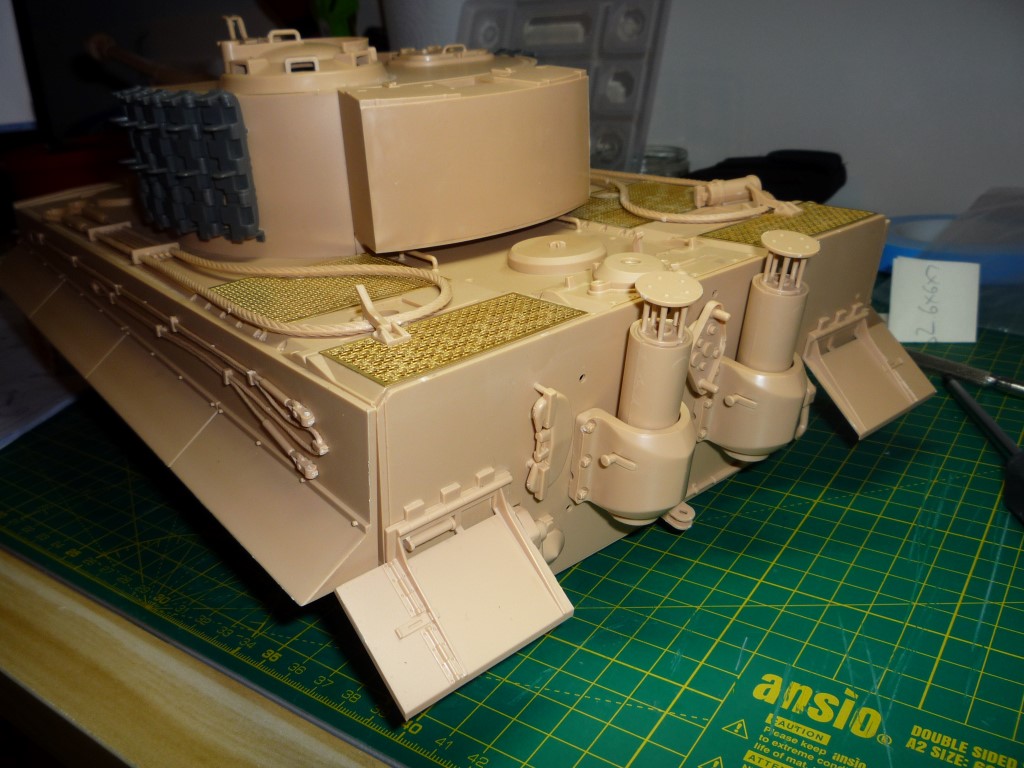 tiger last stges 003.JPG