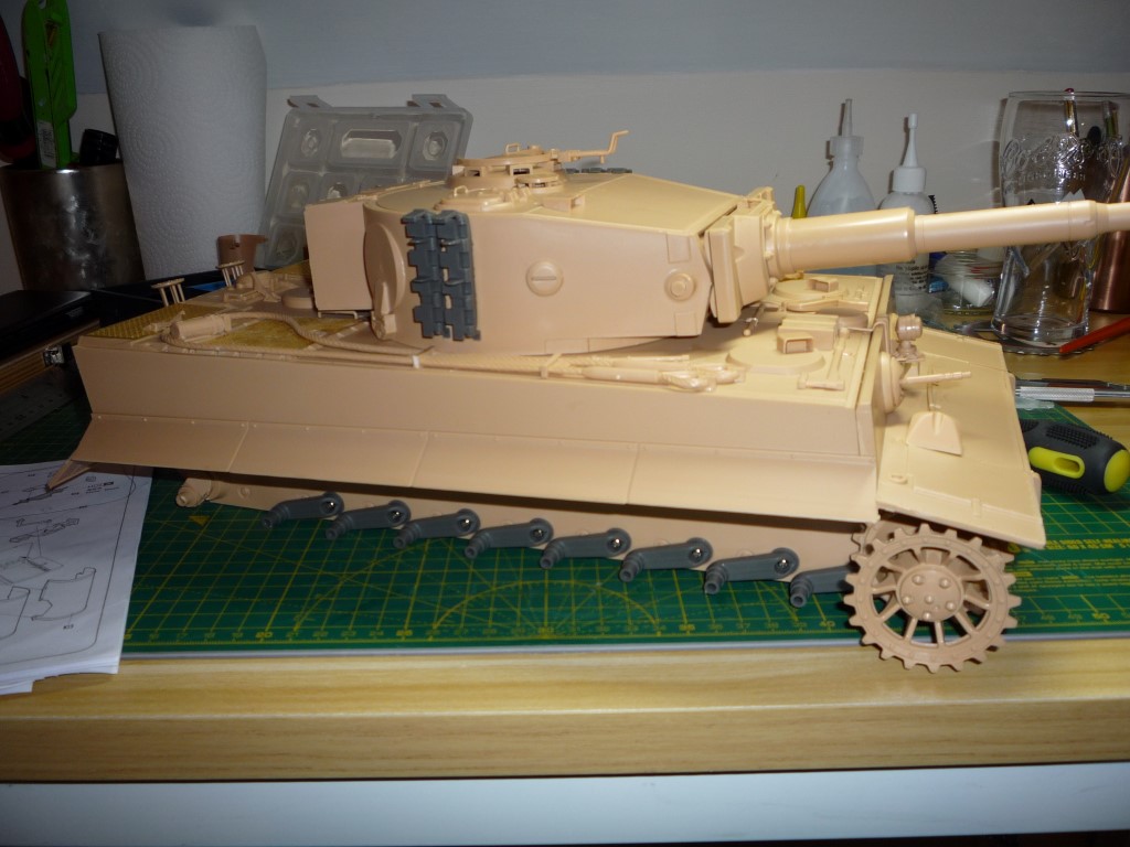 tiger last stges 005.JPG