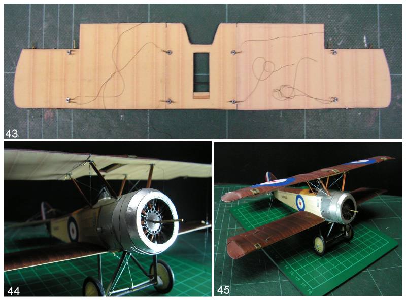 No.2 Wings pic 9.JPG