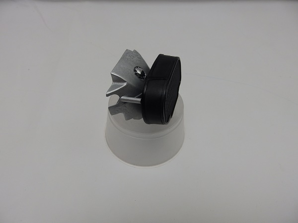 PC175000.JPG