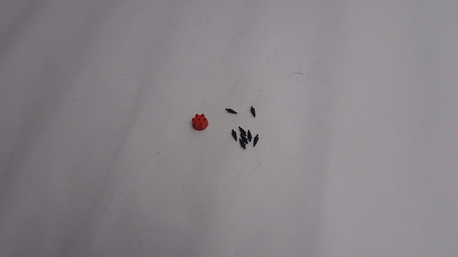 DSC03383.JPG