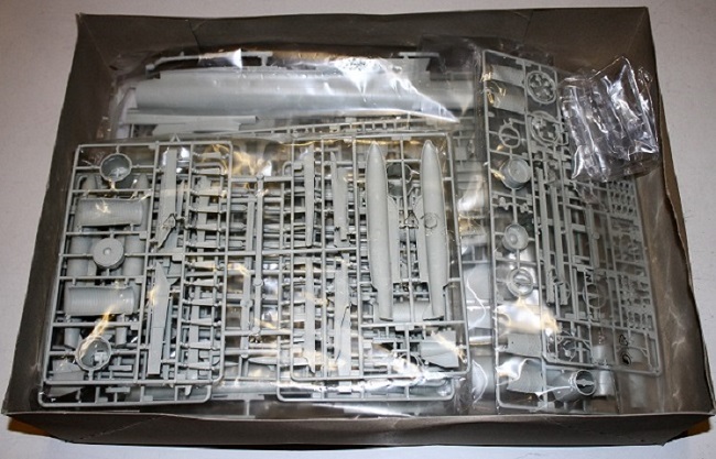 IMGL9565.JPG