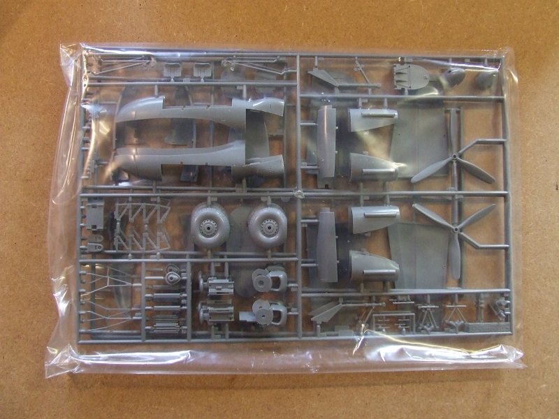 DSCF1160.JPG