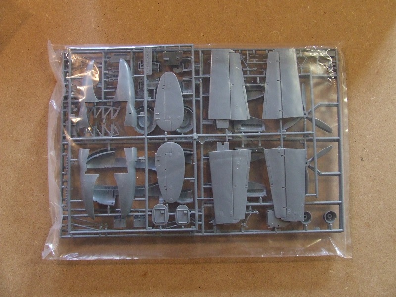 DSCF1161.JPG