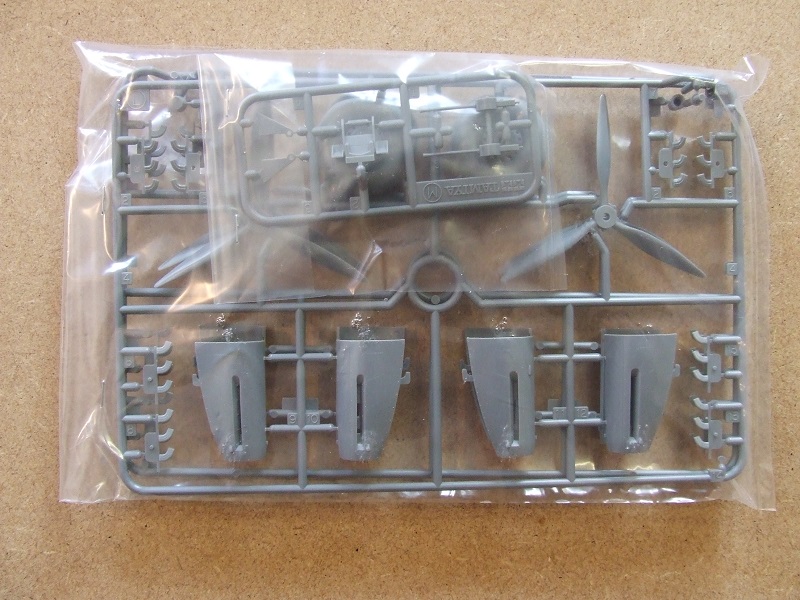 DSCF1165.JPG