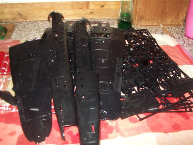 100_0435 (Small).jpg