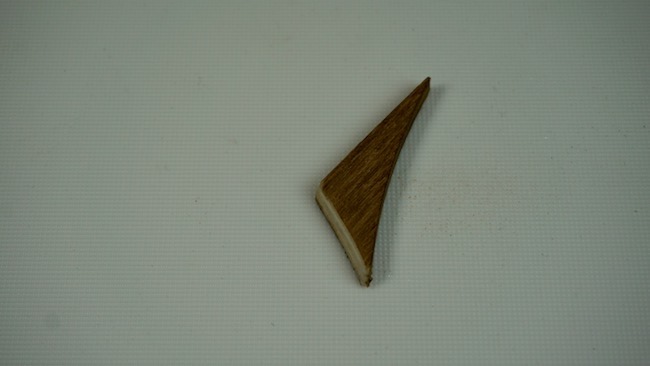 DSC04355.jpg