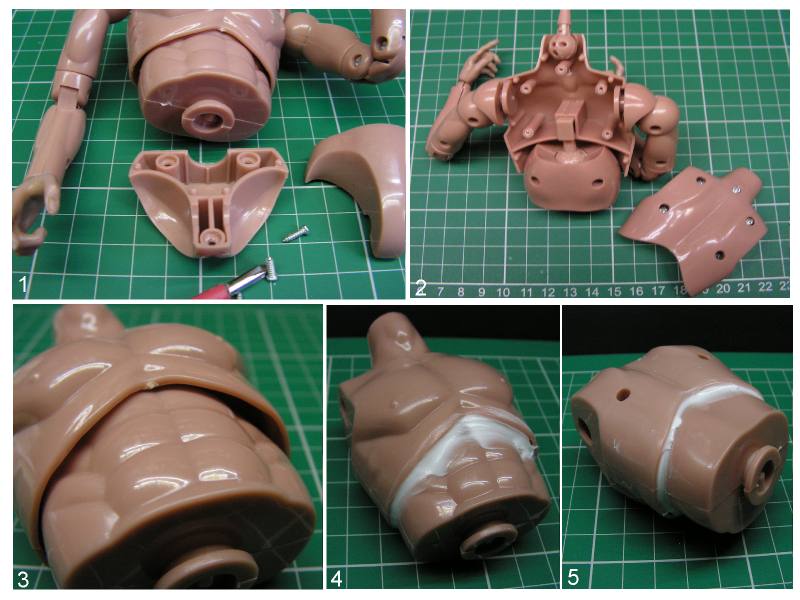 Basic Torso pic 1.JPG