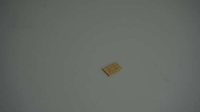 DSC04576.JPG