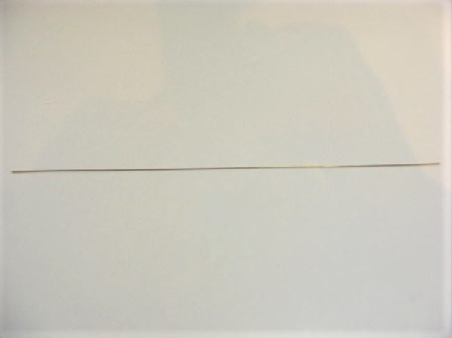 DSCF4567.JPG