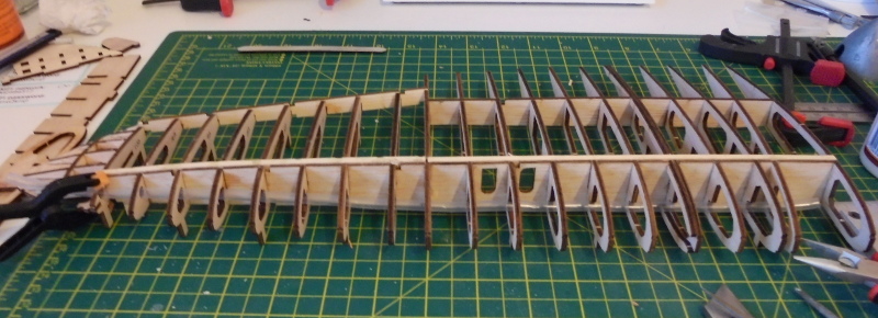 wing1.JPG