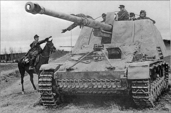 camo1.jpg