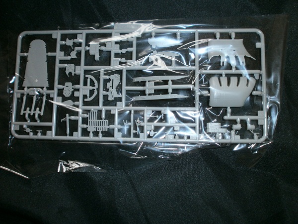 PA260063.JPG