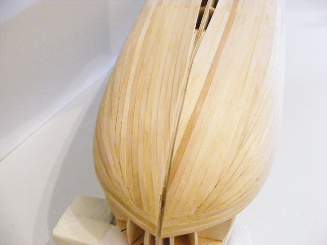 DSCF5341.JPG