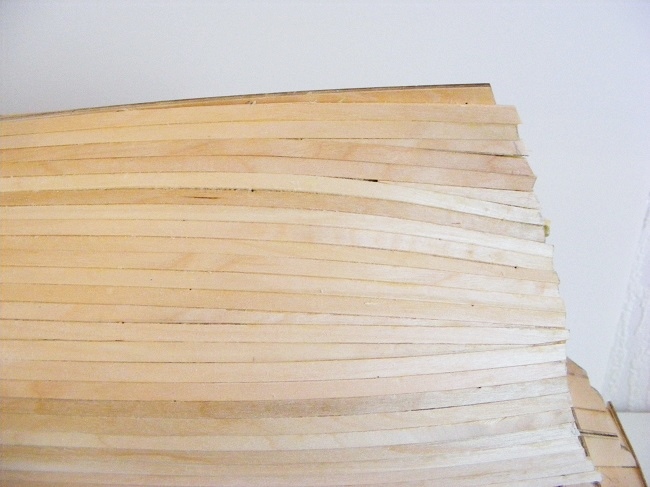 DSCF5346.JPG