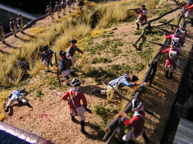 Over running the fence from above pic.JPG