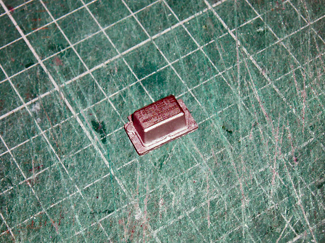 P1015481.JPG