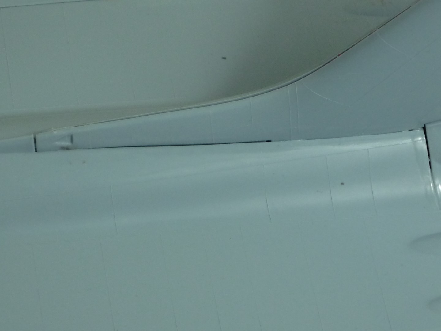 P1010467.JPG