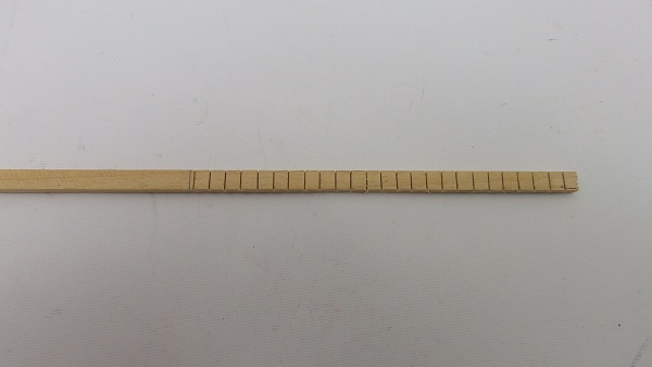 P6235113.JPG