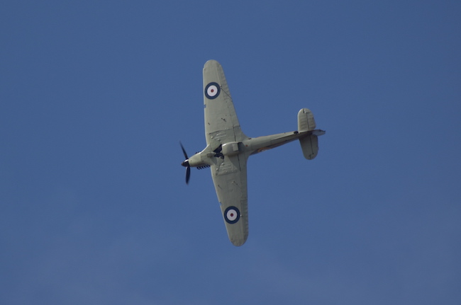 SOL_0449.JPG