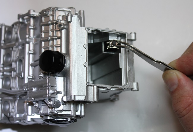 IMGL0954.JPG
