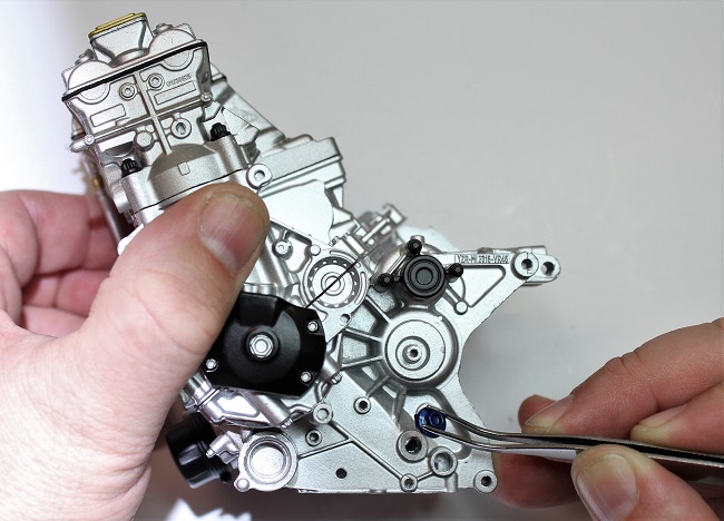 IMGL0963.JPG