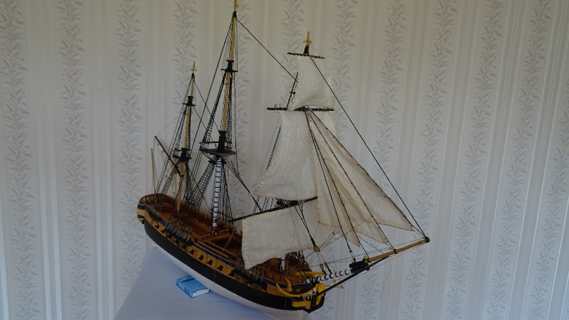 DSC01059-800x450.JPG