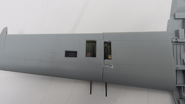 P9146708.JPG