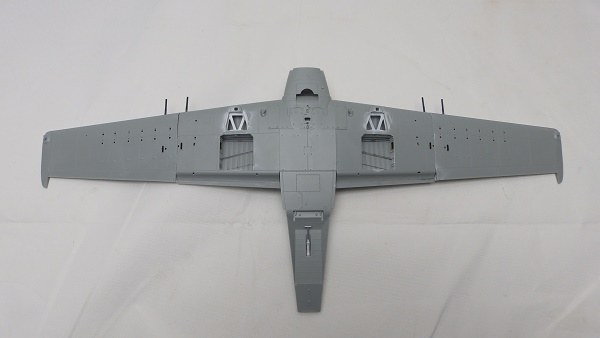 P9146710.JPG