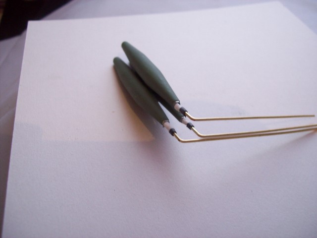 100_1875 (640x480).jpg