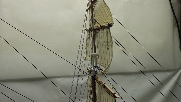 P9256849.JPG