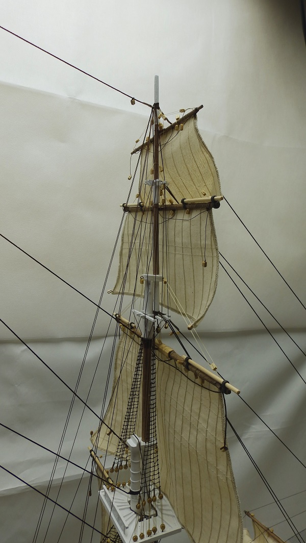 P9256851.JPG