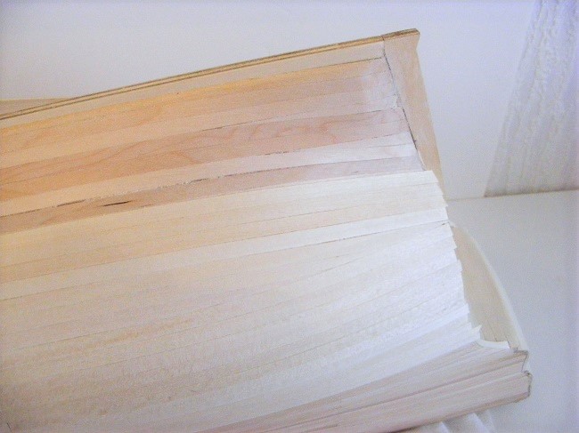 DSCF5917.JPG