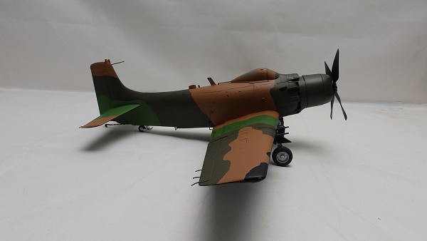 PA157589.JPG