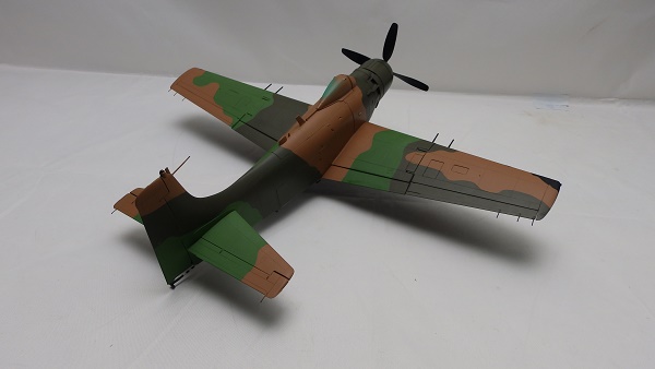 PA157596.JPG